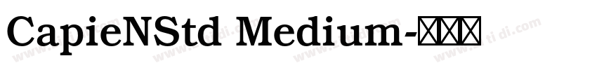 CapieNStd Medium字体转换